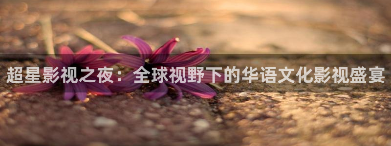 九九七影院：超星影视之夜：全球视野下的华语文化影视盛宴
