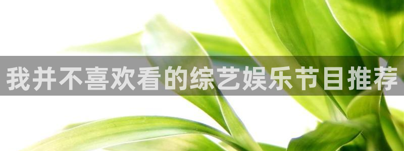 九九热免费小视频：我并不喜欢看的综艺娱乐节目推荐