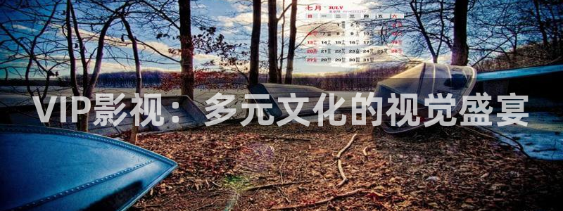 九九视频在线免费看：VIP影视：多元文化的视觉盛宴
