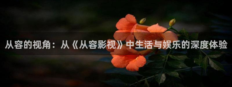 九九影院免费观看电视剧大全最新：从容的视角：从《从容影视》中生活与娱乐的深度体验