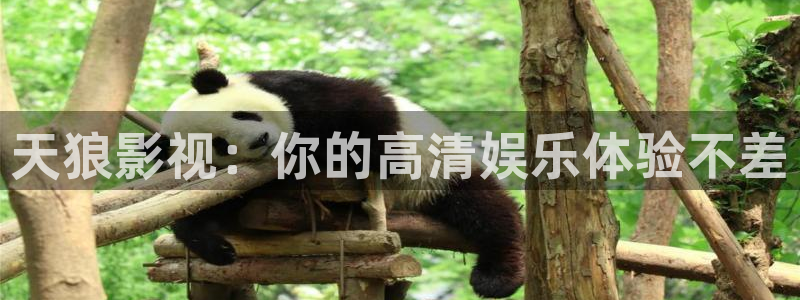 九九热视频社区：天狼影视：你的高清娱乐体验不差